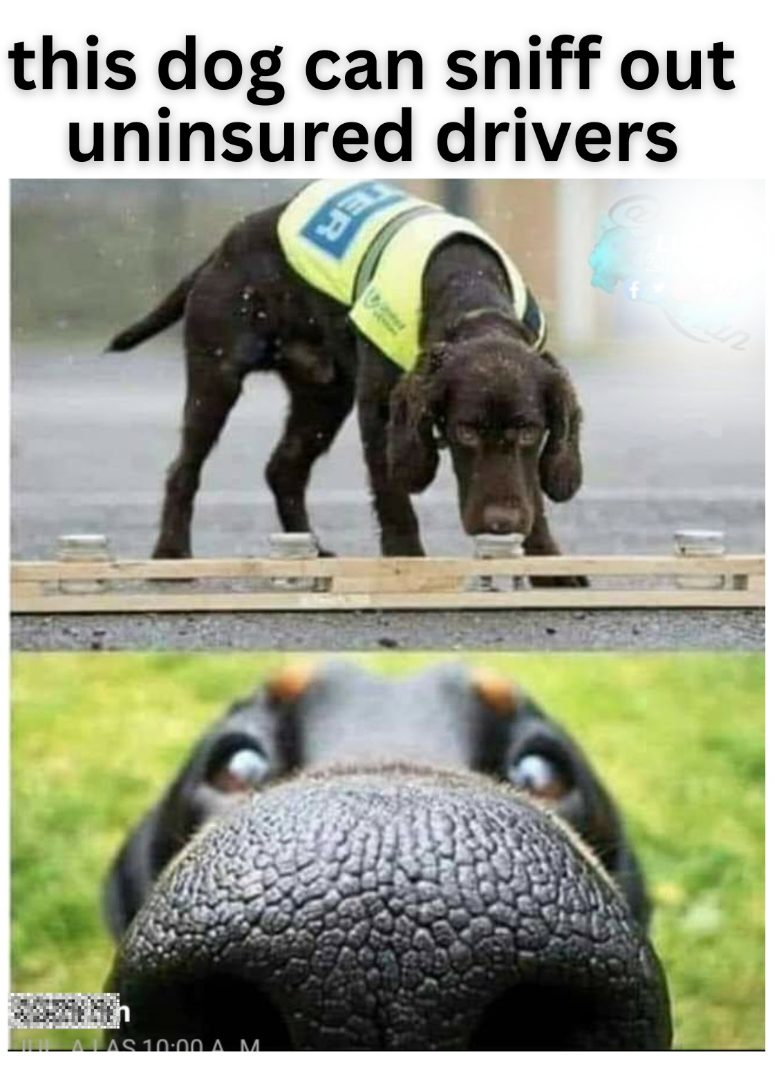 The Uninsured Motorist and Underinsured Motorist Expert