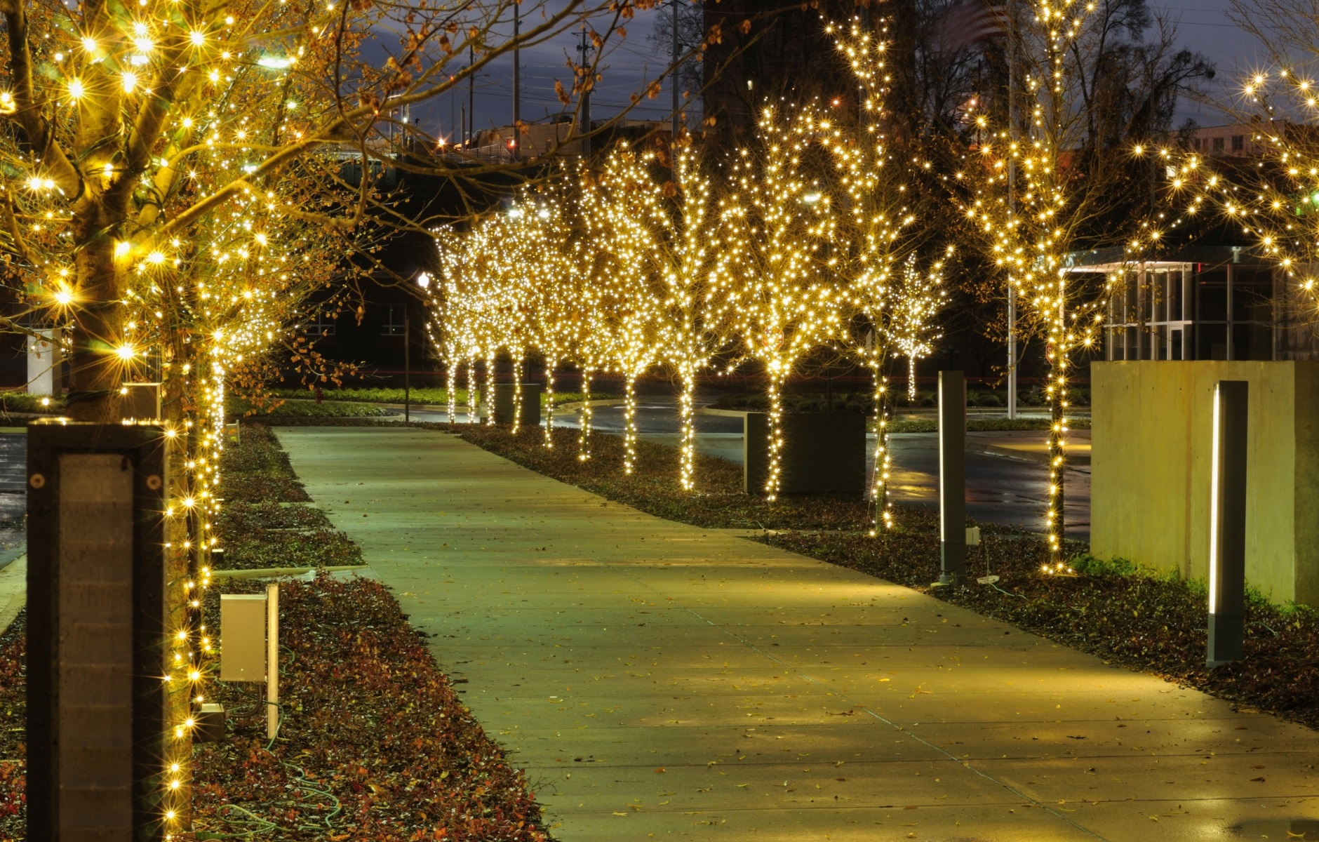 Holiday Light Experiences in LA